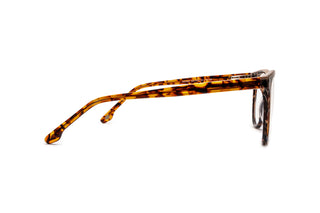 5040101090 Brown image-2