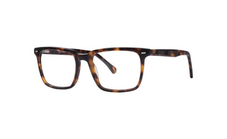 5180300860 Tortoise image-3