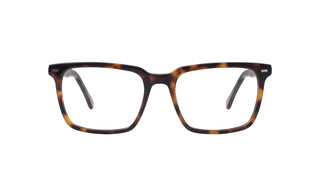 5180300860 Tortoise image-1