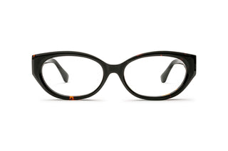 5250102390 Tortoise image-1