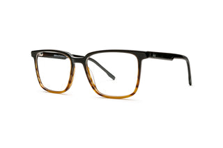 5250102620 Tortoise image-3