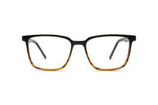5250102620 Tortoise image-1