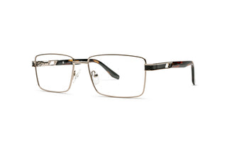 5270301780 Gold/Tortoise image-3