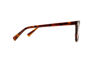 5340100780 Tortoise image-2