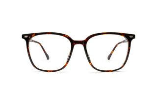 5340101180 Tortoise image-1