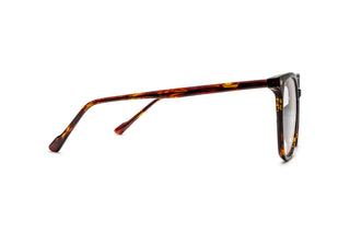 5340101180 Tortoise image-2