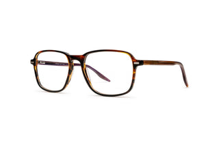 5340101210 Tortoise image-3