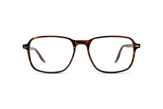 5340101210 Tortoise image-1