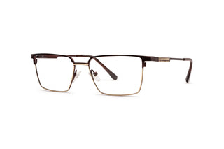 5450300660 Brown/Gold image-3