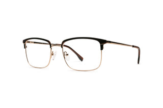 5450300910 Half brown/Gold image-3