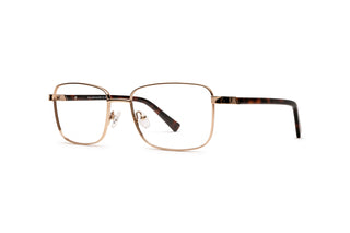 5450300970 Gold/Tortoise image-3