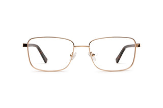 5450300970 Gold/Tortoise image-1