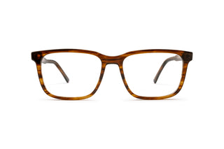 5450301220 Tortoise image-1