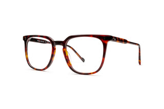 5450301350 Tortoise image-3