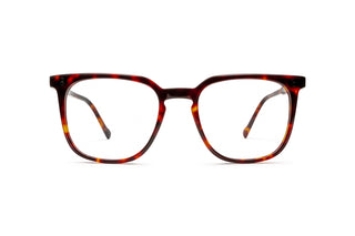5450301350 Tortoise image-1