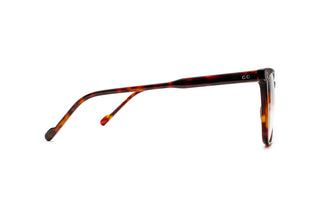 5450301350 Tortoise image-2