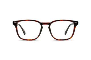 5450301430 Tortoise image-1