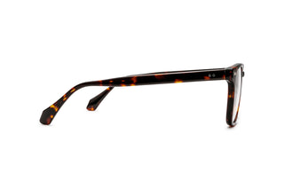 5450301430 Tortoise image-2