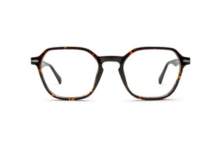 5450301450 Tortoise image-1