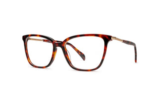 5460100720 Tortoise/Gold image-3