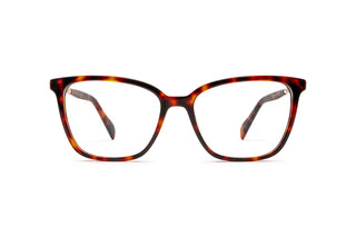 5460100720 Tortoise/Gold image-1