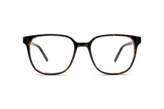 5460101540 Tortoise image-1