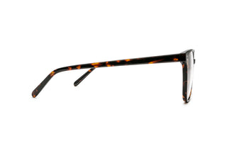 5460101540 Tortoise image-2
