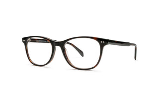5460101570 Tortoise image-3