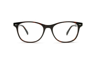 5460101570 Tortoise image-1