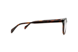 5460101570 Tortoise image-2