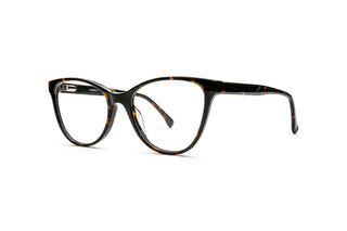5460101720 Tortoise image-3