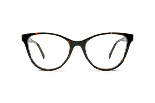 5460101720 Tortoise image-1