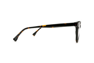 5460101720 Tortoise image-2