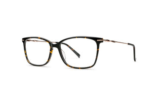 5460101960 Tortoise/Gold image-3