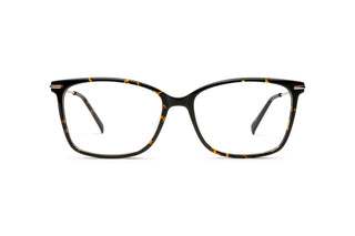 5460101960 Tortoise/Gold image-1