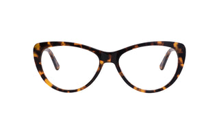 5980101420 Tortoise image-1
