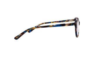5980101430 Tortoise shell image-2