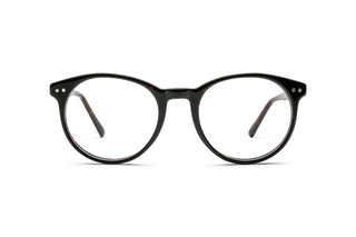 5980102470 Tortoise image-1