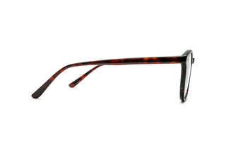 5980102470 Tortoise image-2