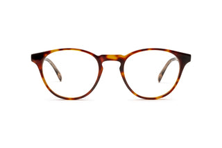 5980102560 Tortoise image-1