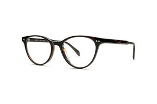 5980102580 Tortoise image-3