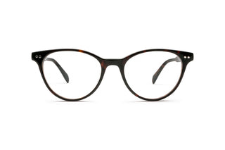 5980102580 Tortoise image-1