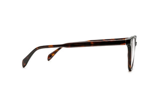 5980102580 Tortoise image-2