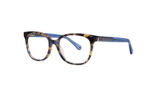 6500104830 Tortoise/Blue image-3