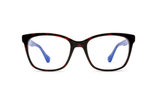 6500110510 Tortoise/Blue image-1