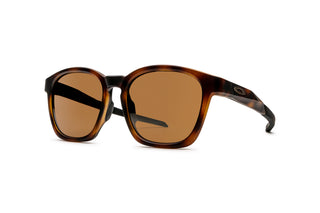 7000506150 Tortoise image-3