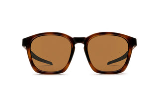 7000506150 Tortoise image-1
