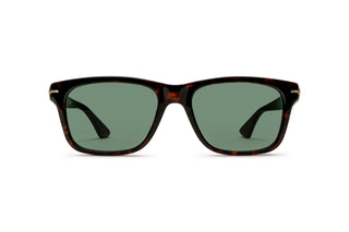 7000528540 Tortoise image-1