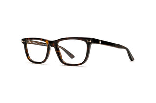 7000528640 Tortoise image-3