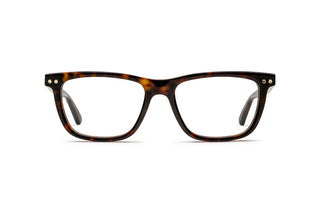 7000528640 Tortoise image-1